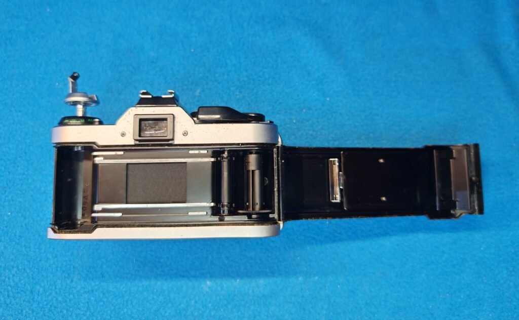 CANON AE 1 PROGRAM (7) (Mediana)