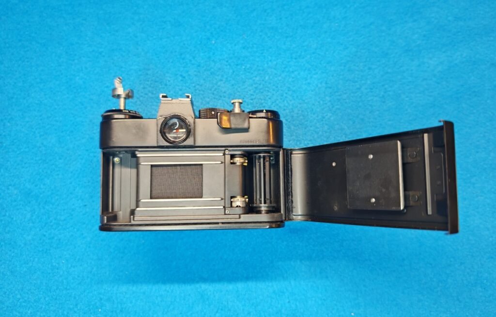 ZENIT 11 (3) (Mediana)